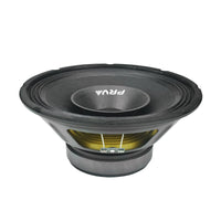 
              PRV 10FR300 (SINGLE)
            