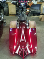 
              INSANE ASYLUM - TAIL LIGHTS - Strung Out/Rehab tail lights
            